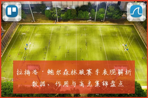 拉梅洛·鲍尔森林狼赛季表现解析：数据、作用与高光集锦盘点