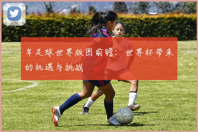 年足球世界版图前瞻:世界杯带来的机遇与挑战